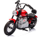Single Rider Cruiser Bike 36V